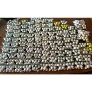 Lot Of 300 Golf Balls Titleist Vice Nike TaylorMade Kirkland Srixon Wilson